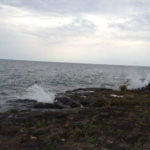 Meet your Posher, Janice